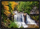 Wodospad Blackwater Falls, Rzeka Blackwater, Skały, Drzewa, Las, Jesień, Park stanowy Blackwater, Stan Wirginia Zachodnia, Stany Zjednoczone