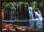 Wodospad, Lower Lewis River Falls, Rzeka, Skała, Drzewa, Jesień, Stan Waszyngton, Stany Zjednoczone