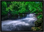 Wodospad, Rzeka New, Las, Skały, Drzewa, Park Narodowy New River Gorge National River, Thurmond, Wirginia Zachodnia, Stany Zjednoczone