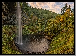 Wodospad, South Falls, Las, Drzewa, Skały, Roślinność, Park stanowy Silver Falls, Stan Oregon, Stany Zjednoczone