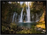 Wodospad Burney Falls, Drzewa, Rzeka, Skała, Park McArthur-Burney Falls, Hrabstwo Shasta, Stan Kalifornia, Stany Zjednoczone