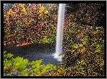 Wodospad South Falls, Las, Drzewa, Jesień, Punkt widokowy, Park miejski Silver Falls, Oregon, Stany Zjednoczone