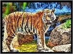 Tygrys, Wodospad, Skały