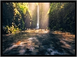 Wodospad Oneonta Gorge, Rzeka Oneonta Creek, Wąwóz Oneonta, Roślinność, Kamienie, Skały, Rezerwat przyrody Columbia River, Stan Oregon, Stany Zjednoczone