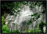 Wodospad, Drzewa, Wiszący, Most