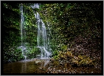 Wodospad, Scaleber Force Falls, Park Narodowy Yorkshire Dales, Omszałe, Skały, Kamienie, Rośliny, Hrabstwo North Yorkshire, Anglia