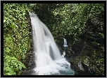 Wodospad, Skały, Zieleń, Kostaryka