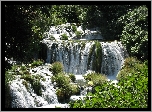 Wodospady, Roślinność