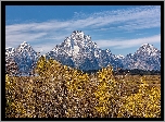 Jesień, Drzewa, Góry, Teton Range, Góra, Mount Woodring, Park Narodowy Grand Teton, Wyoming, Stany Zjednoczone