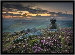 Wrzosowisko, Wzgórze, Skały, Kamienie, Park Narodowy Peak District, Formacja skalna, Salt Cellar, Hrabstwo Derbyshire, Anglia