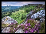 Skały, Wrzosy, Wzgórza, Park Narodowy Peak District, Anglia