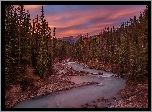 Wschód słońca, Rzeka Kicking Horse, Park Narodowy Yoho, Las, Drzewa, Góry, Prowincja Kolumbia Brytyjska, Kanada
