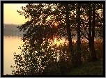 Wschód, Słońca, Jezioro, Mgła, Las