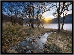 Wschód, Słońca, Jezioro, Strumyk, Drzewa