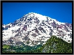 Wulkan, Mount Rainier, Góra, Lasy