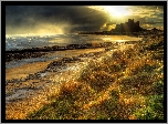 Zamek Bamburgh, Miejscowość Bamburgh, Hrabstwo  Northumberland, Anglia, Morze Północne, Wybrzeże