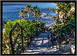 Wybrzeże, Ocean, Palmy, Schody, Kalifornia, USA