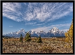 Park Narodowy Grand Teton, Góry, Teton Range, Drzewa, Stan Wyoming, Stany Zjednoczone