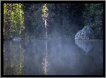 Drzewa, Jezioro, String Lake, Park Narodowy Grand Teton, Stan Wyoming, Stany Zjednoczone