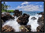 Hawaje, Wyspa Maui, Morze, Fale, Skały, Palmy, Chmury