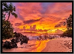 Hawaje, Wyspa Maui, Ocean, Palmy, Zachód słońca, Chmury