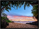 Hawaje, Wyspa Maui, Morze, Roślinność, Palmy, Plaża