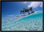 Palmy, Wyspa, Ocean