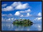 Wyspa, Palmy