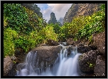 Hawaje, Wyspa Maui, Potok Iao Valley, Skały, Roślinność