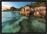 Seszele, Wyspa La Digue, Ocean, Skały, Palmy