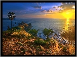 Tajlandia, Wyspa, Phuket, Zachód Słońca, Palmy, Rośliny