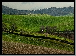 Wzgórza, Pola, Łąki, Drzewa