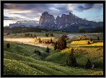 Wzgórza, Mgła, Drzewa, Dolina Val Gardena, Góry Sassolungo, Dolomity, Płaskowyż Seiser Alm, Włochy