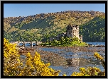 Jesień, Szkocja, Zamek, Eilean Donan Castle, Most, Wzgórza, Jezioro, Loch Duich Eilean Donan, Las, Drzewa