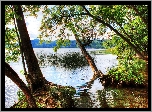 Las, Wzgórza, Jezioro