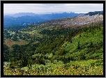 Wzgórza, Góry, Lasy, Łąki