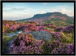 Anglia, Park Narodowy Peak District, Wzgórza, Skały, Wrzosy, Wrzosowisko