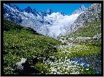Wzgórza, Szczyty, Gór, Alpy Szwajcarskie, Kwiaty, Wiosna