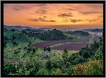 Drzewa, Kapliczka, Pola, Wzgórze