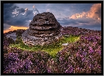 Park Narodowy Peak District, Wzgórze, Over Owler Tor, Skała, Formacja skalna, Wrzosy, Wrzosowisko, Anglia