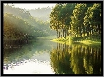 Jezioro, Wzniesienia, Drzewa