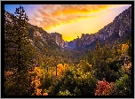 Wschód słońca, Jesień, Drzewa, Krzewy, Góry, Dolina, Yosemite Valley, Park Narodowy Yosemite, Kalifornia, Stany Zjednoczone
