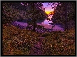 Zachód Słońca, Zatoka, Plaża, Drzewa, Skały