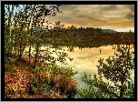 Zachód, Słońca, Jezioro, Las