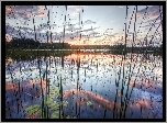 Zachód, Słońca, Jezioro, Trawy