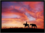 Zachód słońca, Konie, Jeździec