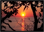 Zachód słońca, Jezioro Michigan, Drzewa