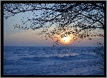 Zachód, Słońca, Drzewo, Śnieg, Zima