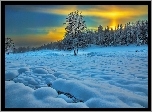 Zachód, Słońca, Las, Śnieg, Zima