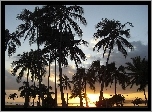 Zachód Słońca, Palmy, Oahu, Hawaje